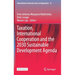 Taxation, International Cooperation and the 2030 Sustainable Development Agenda