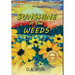 Sunshine In The Weeds