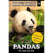 Pandas: The Large Bear Cats (includes 20+ magnificent photos!)