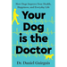Your Dog Is The Doctor: How Dogs Improve Your Health, Happiness, and Everyday Life