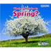 What Can You See in Spring?