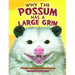 Why the Possum Has a Large Grin