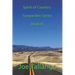 Spirit of Country Songwriter Series Book IV