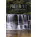 Poured Out: from a place of peaceful waters