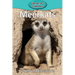 Meerkats