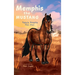 Memphis the Mustang