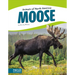Moose