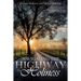 Navigating The Highway To Holiness