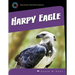 Harpy Eagle