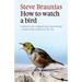 How to Watch a Bird