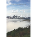 Galicia Ancestral: Historia de la Galicia prerromana