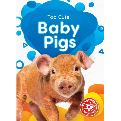 Baby Pigs