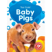 Baby Pigs