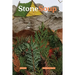 Stone Soup Magazine: June 2022