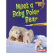 Meet a Baby Polar Bear