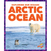 Arctic Ocean