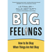 Big Feelings: How to Be Okay When Things Are Not Okay