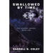 Swallowed by Time: The Journey Begins: Book One