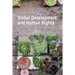Global Development and Human Rights: The Sustainable Development Goals and Beyond