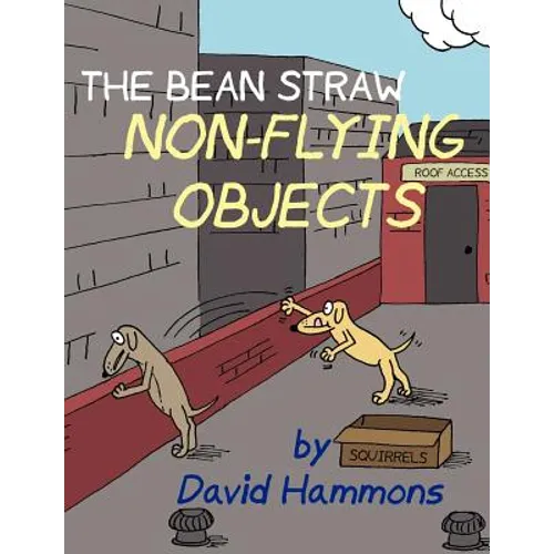 The Bean Straw: Non-Flying Objects