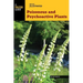 Basic Illustrated Poisonous and Psychoactive Plants