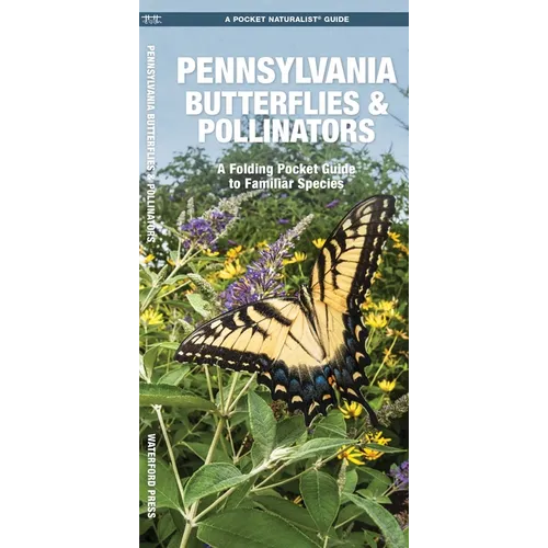 Pennsylvania Butterflies & Pollinators: A Folding Pocket Guide to Familiar Species