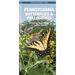 Pennsylvania Butterflies & Pollinators: A Folding Pocket Guide to Familiar Species