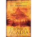 Cronica Acadia: Bend Sinister