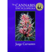 The Cannabis Encyclopedia: The Definitive Guide to Cultivation & Consumption of Medical Marijuana