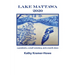 Lake Mattawa 2020