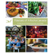 Flavours of A Rocha Canada: A Collection of Community Recipes and Stories