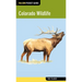 Colorado Wildlife