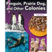 Penguin, Prairie Dog, and Other Colonies
