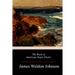 The Book of American Negro Poetry
