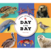 Animal Adventures: Day in the Bay
