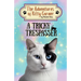 A Tricky Trespasser: The Adventures of Kitty Corner, Book 2: A Cat Adventure for Young Readers