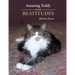 Amazing Teddy and the Beatitudes