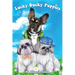 Lucky Ducky Puppies