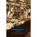 Springfield: Volume I