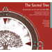 Sacred Tree: Reflections on Native American Spirituality