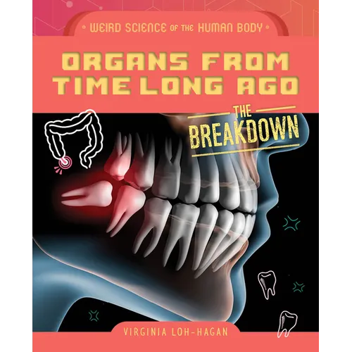 Organs from Time Long Ago