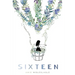 Sixteen: A Compilation of Poems