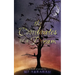 The Coordinates of a Dream