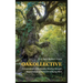 Oakollective: Conversations with Forests, Healing through Relationships, and the Art of Being Wild