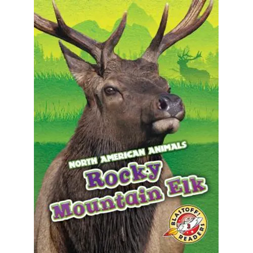 Rocky Mountain Elk