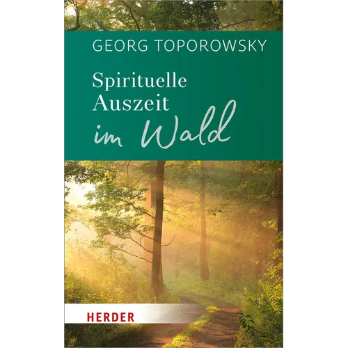 Spirituelle Auszeit Im Wald