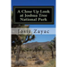 A Close Up Look at Joshua Tree National Park
