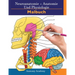 Neuroanatomie + Anatomie und Physiologie Malbuch: 2-in-1-Sammlungssatz Unglaublich detailliertes Arbeitsheft mit Selbsttestfarben für Studium und Ents