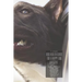 Dog Healthy Guide For A Happy Dog Lifestyle: Care, Organic Food, Diet, Nutrition, Grooming, Exercise, Walking & Obedience Training