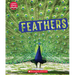Feathers (Learn About: Animal Coverings)
